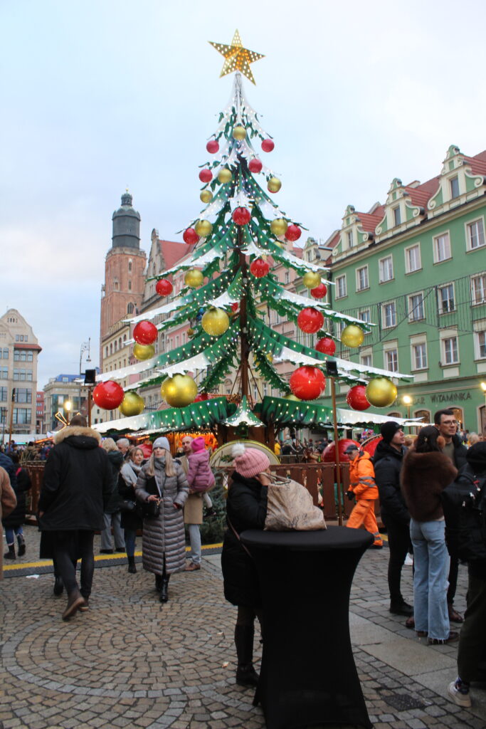 Jarmark bożonarodzeniowy w Wrocławiu 2025 - Vlog podróżniczy Steina