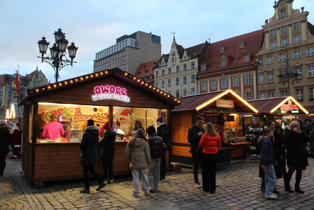 Jarmark bożonarodzeniowy w Wrocławiu 2025 - Vlog podróżniczy Steina