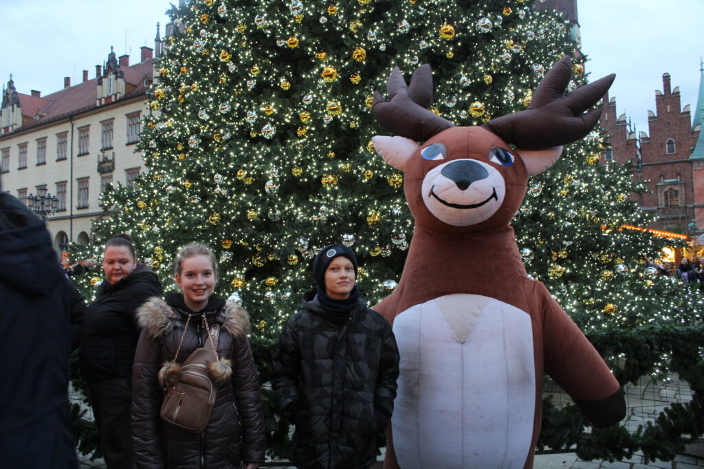 Jarmark bożonarodzeniowy w Wrocławiu 2025 - Vlog podróżniczy Steina