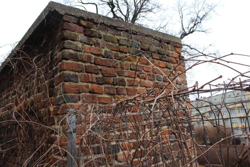 Mury miejskie w Raciborzu - historia Raciborza i zamku piastowskiego // Vlog podróżniczy Steina