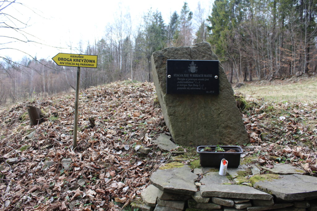 Szlak na zamczysko na Łysinie w beskidzie małym - Vlog Steina