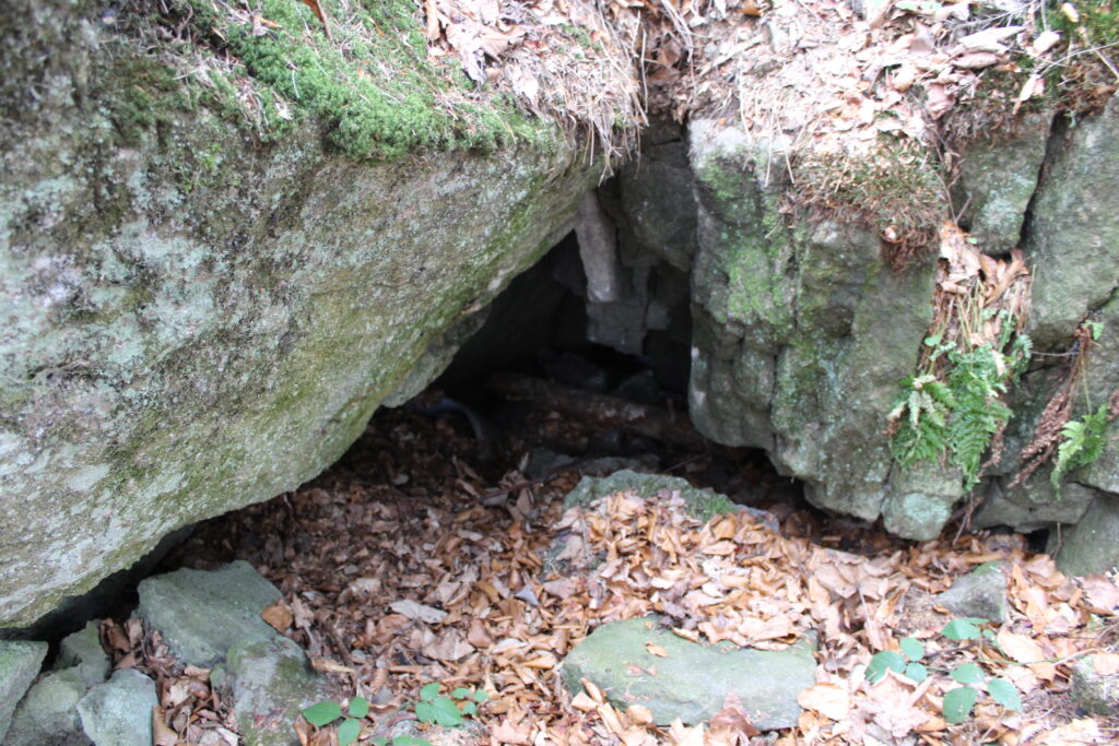 Zamczysko ja Łysinie - Szlak z skałami w beskidzie małym - Vlog Steina