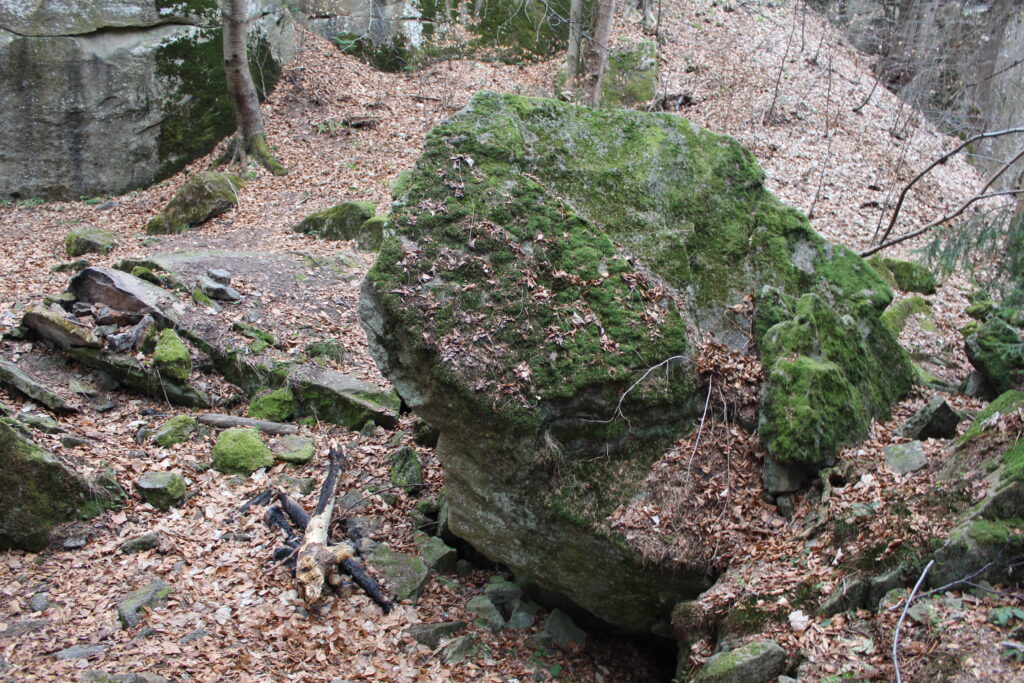 Zamczysko ja Łysinie - Szlak z skałami w beskidzie małym - Vlog Steina