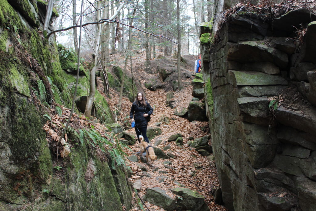 Zamczysko ja Łysinie - Szlak z skałami w beskidzie małym - Vlog Steina