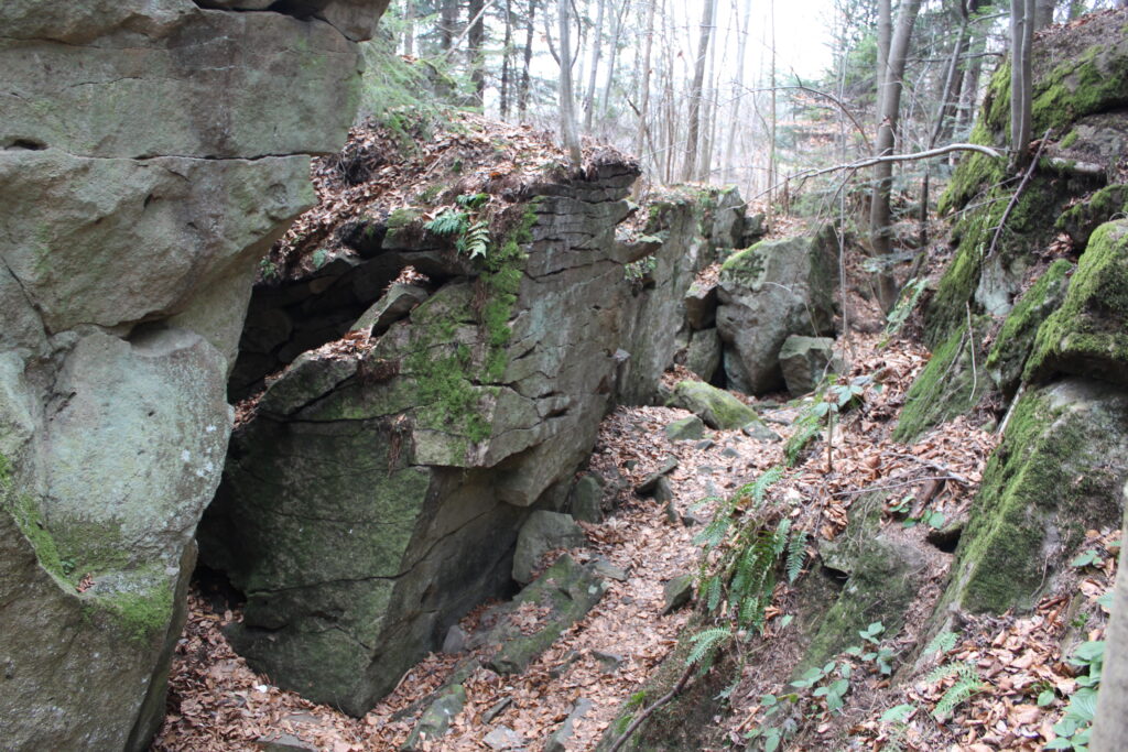 Zamczysko ja Łysinie - Szlak z skałami w beskidzie małym - Vlog Steina