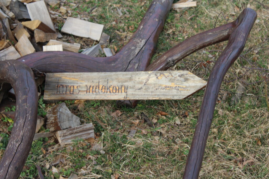 Wieża widokowa na szlaku na Łysinę - Vlog podróżniczy Steina