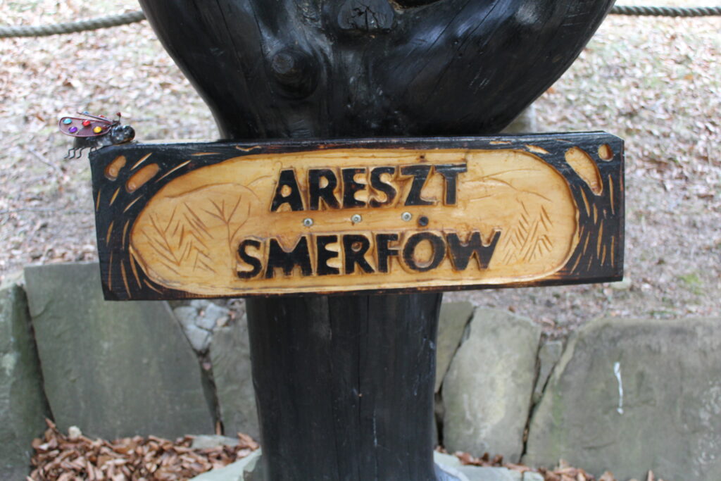 Wioska smerfów i wzgórze Gargamela na szlaku na Łysinę - Vlog Steina