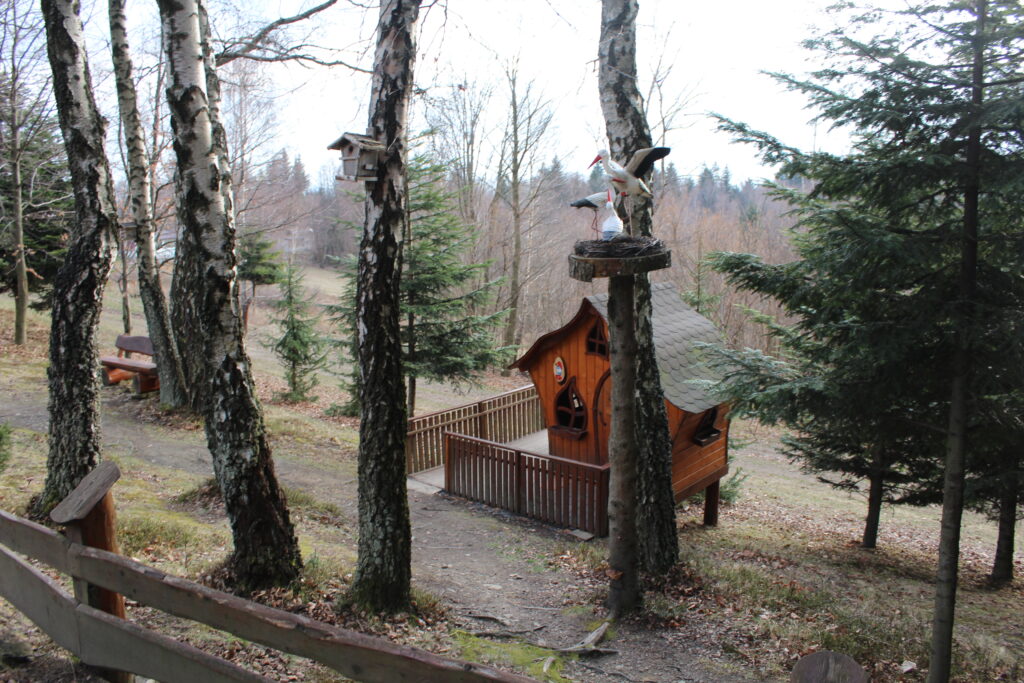 Wioska smerfów i wzgórze Gargamela na szlaku na Łysinę - Vlog Steina