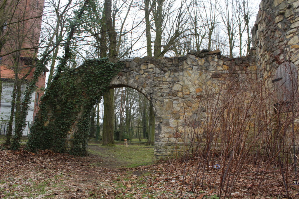 Sztuczne ruiny zamku w Krapkowicach - Vlog podróżniczy Steina