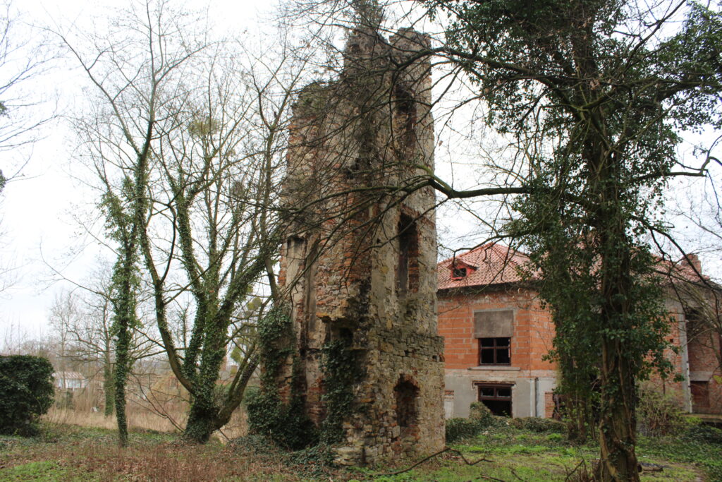 Ruiny zamku rycerskiego w Otmęcie - Vlog podróżniczy Steina