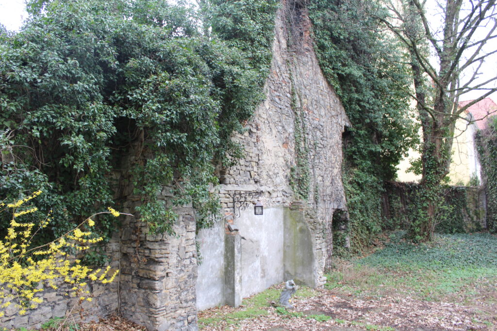 Ruiny zamku rycerskiego w Otmęcie - Vlog podróżniczy Steina