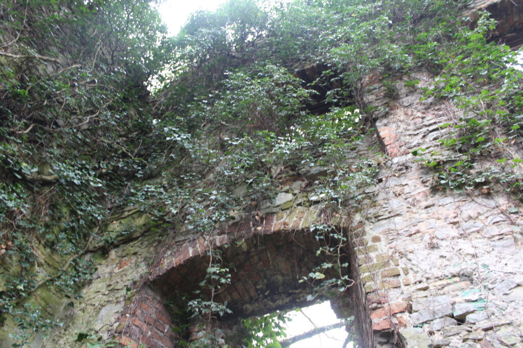 Ruiny zamku rycerskiego w Otmęcie - Vlog podróżniczy Steina