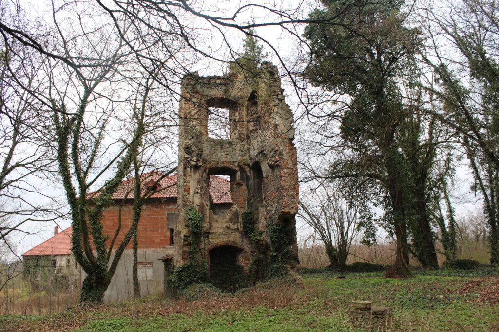 Ruiny zamku rycerskiego w Otmęcie - Vlog podróżniczy Steina