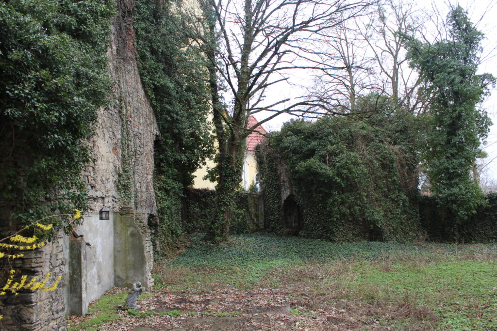 Ruiny zamku rycerskiego w Otmęcie - Vlog podróżniczy Steina