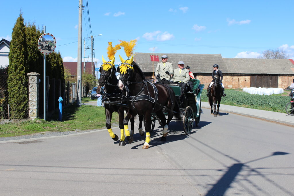 Procesja konna w Pietrowicach Wielkich - 2026 Vlog podróżniczy Steina