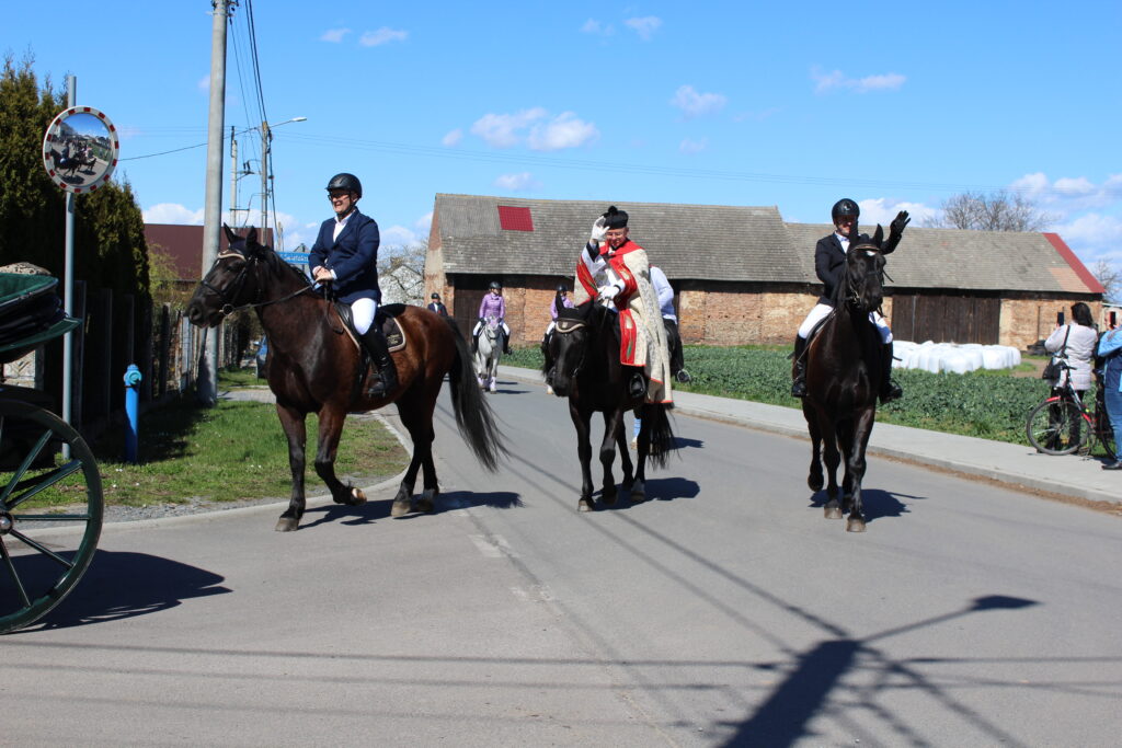 Procesja konna w Pietrowicach Wielkich - 2026 Vlog podróżniczy Steina