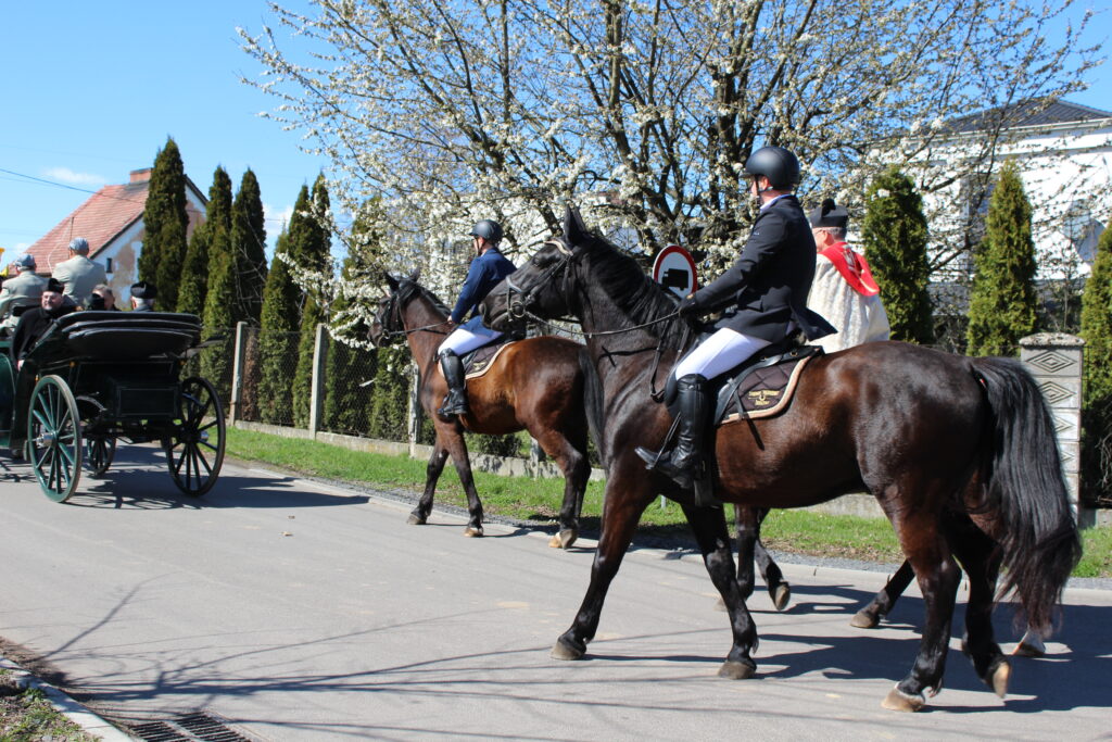 Procesja konna w Pietrowicach Wielkich - 2026 Vlog podróżniczy Steina