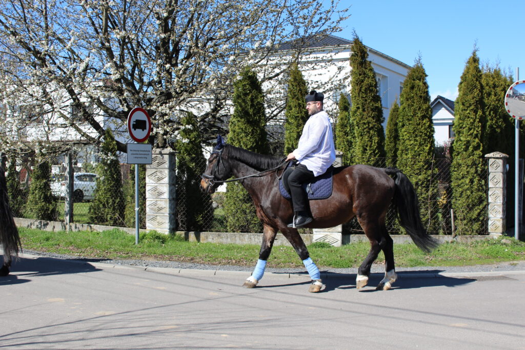 Procesja konna w Pietrowicach Wielkich - 2026 Vlog podróżniczy Steina