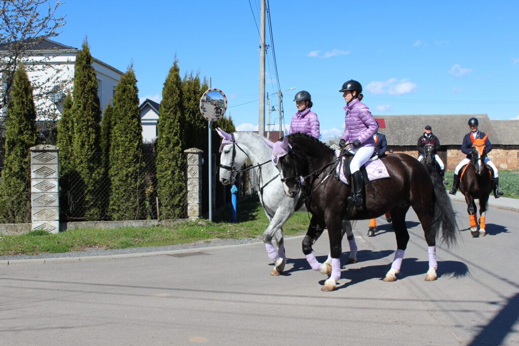 Procesja konna w Pietrowicach Wielkich - 2026 Vlog podróżniczy Steina