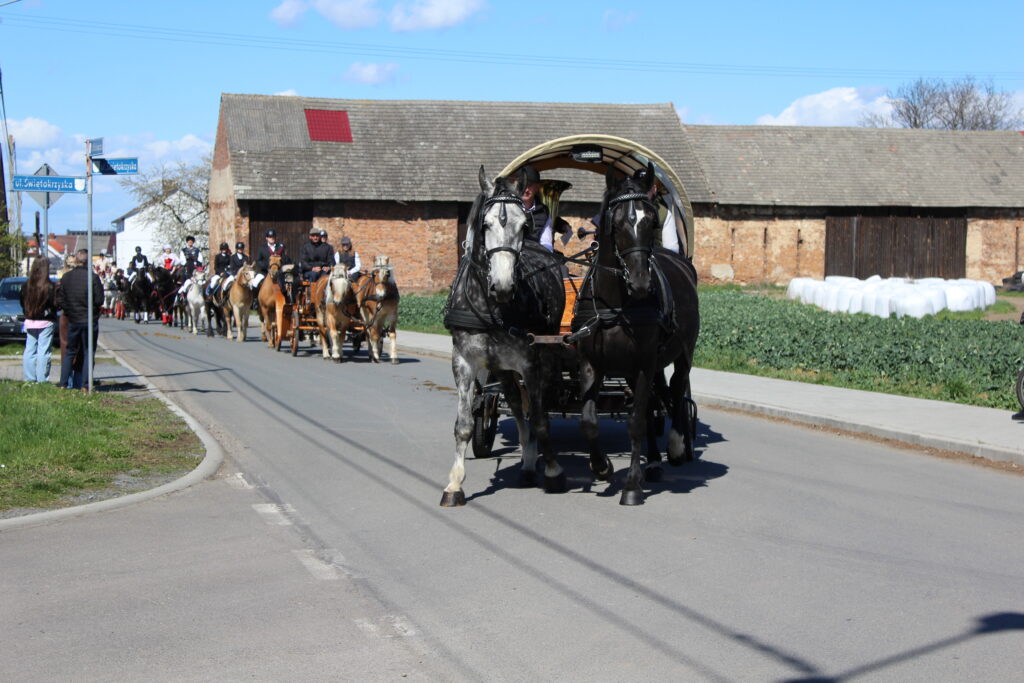 Procesja konna w Pietrowicach Wielkich - 2026 Vlog podróżniczy Steina