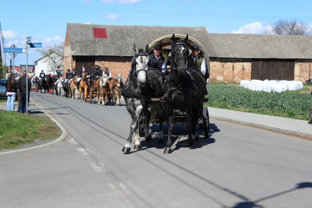 Procesja konna w Pietrowicach Wielkich - 2026 Vlog podróżniczy Steina