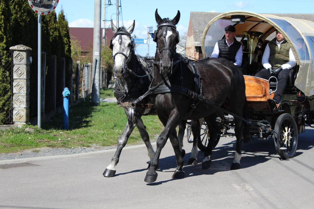 Procesja konna w Pietrowicach Wielkich - 2026 Vlog podróżniczy Steina