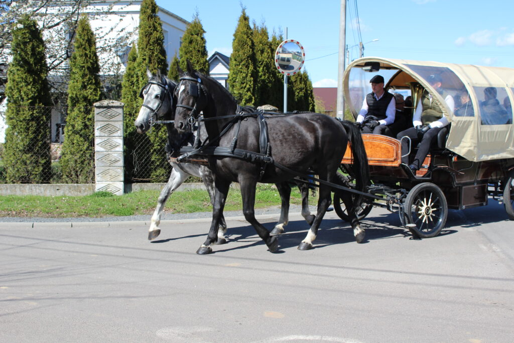 Procesja konna w Pietrowicach Wielkich - 2026 Vlog podróżniczy Steina