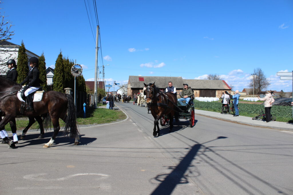 Procesja konna w Pietrowicach Wielkich - 2026 Vlog podróżniczy Steina