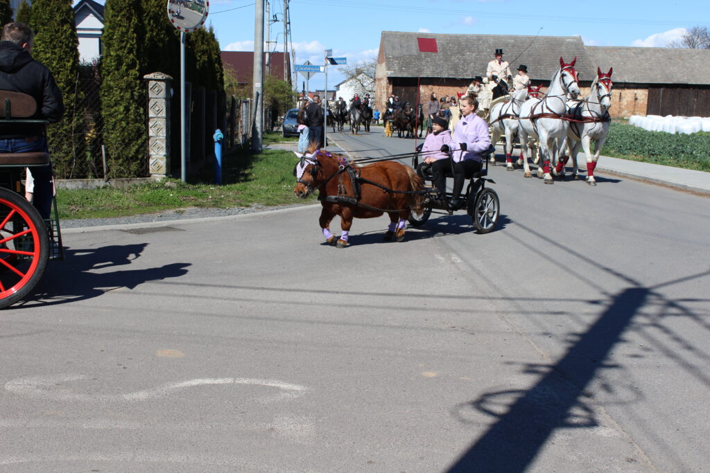Procesja konna w Pietrowicach Wielkich - 2026 Vlog podróżniczy Steina