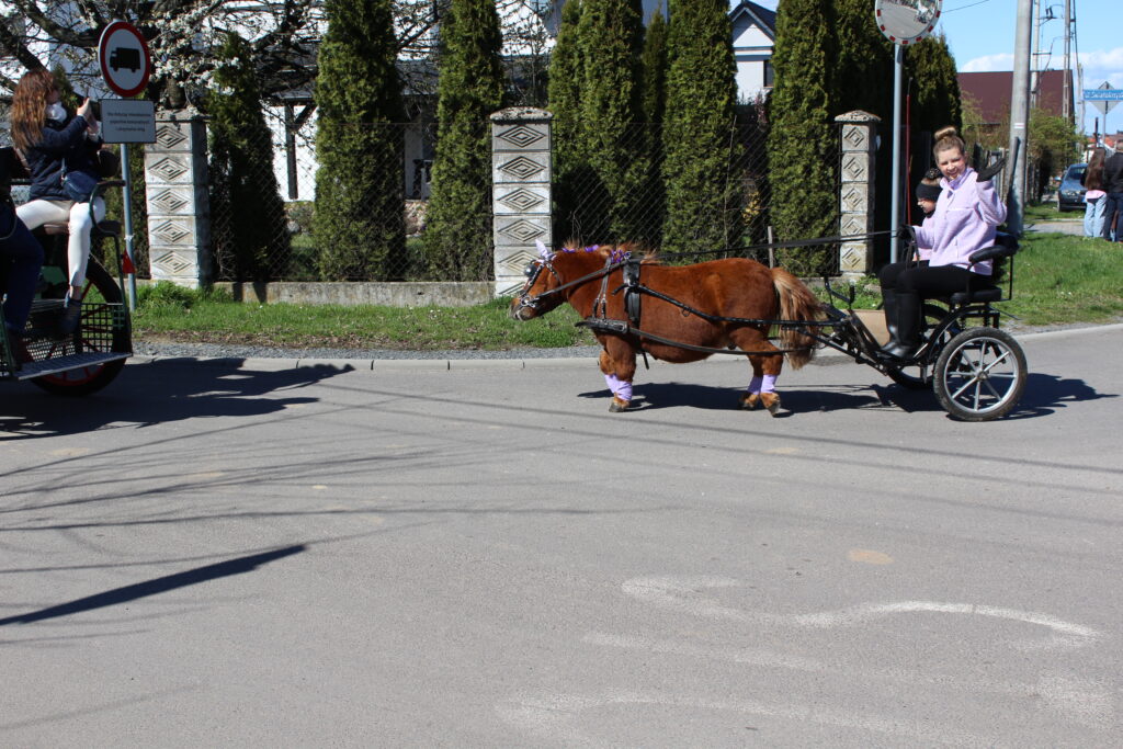 Procesja konna w Pietrowicach Wielkich - 2026 Vlog podróżniczy Steina