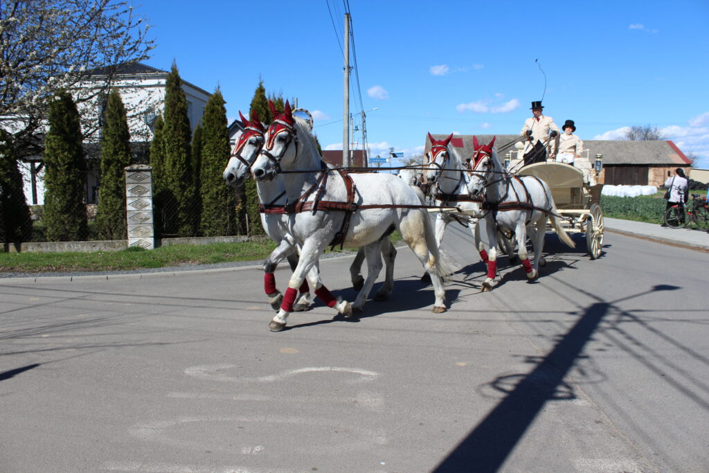Procesja konna w Pietrowicach Wielkich - 2026 Vlog podróżniczy Steina