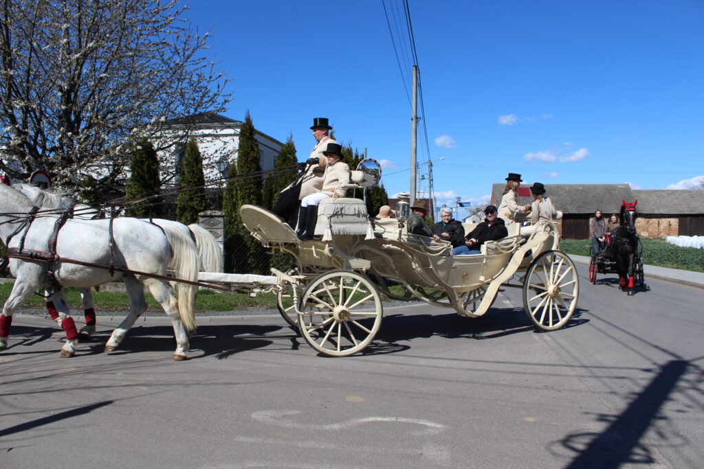 Procesja konna w Pietrowicach Wielkich - 2026 Vlog podróżniczy Steina