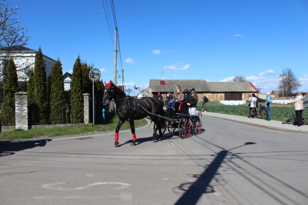 Procesja konna w Pietrowicach Wielkich - 2026 Vlog podróżniczy Steina