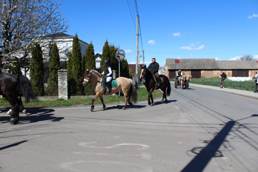 Procesja konna w Pietrowicach Wielkich - 2026 Vlog podróżniczy Steina