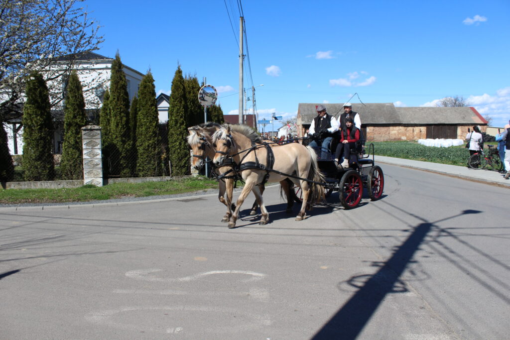 Procesja konna w Pietrowicach Wielkich - 2026 Vlog podróżniczy Steina