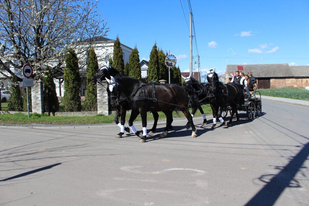 Procesja konna w Pietrowicach Wielkich - 2026 Vlog podróżniczy Steina