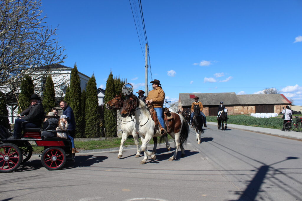 Procesja konna w Pietrowicach Wielkich - 2026 Vlog podróżniczy Steina