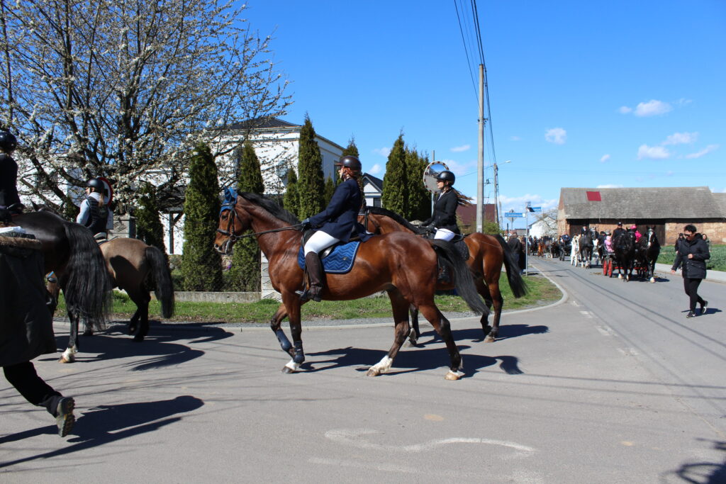 Procesja konna w Pietrowicach Wielkich - 2026 Vlog podróżniczy Steina