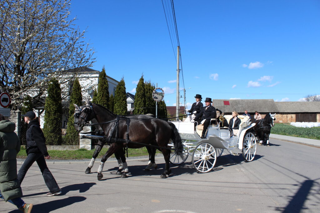 Procesja konna w Pietrowicach Wielkich - 2026 Vlog podróżniczy Steina