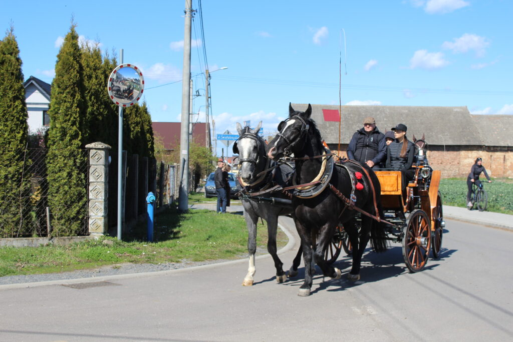 Procesja konna w Pietrowicach Wielkich - 2026 Vlog podróżniczy Steina
