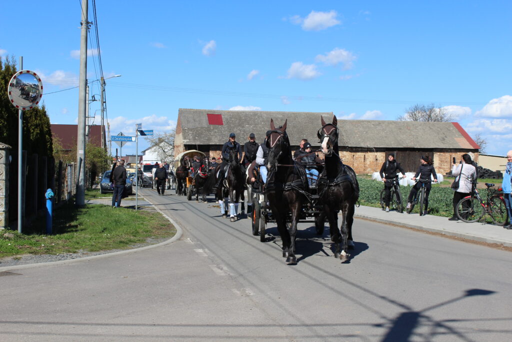 Procesja konna w Pietrowicach Wielkich - 2026 Vlog podróżniczy Steina