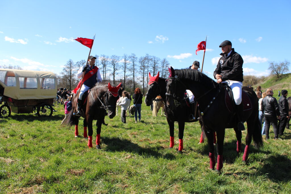 Procesja konna w Pietrowicach Wielkich - 2026 Vlog podróżniczy Steina