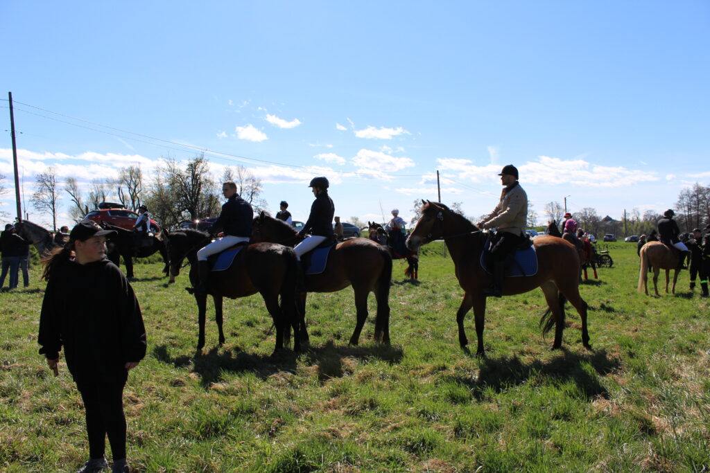 Procesja konna w Pietrowicach Wielkich - 2026 Vlog podróżniczy Steina