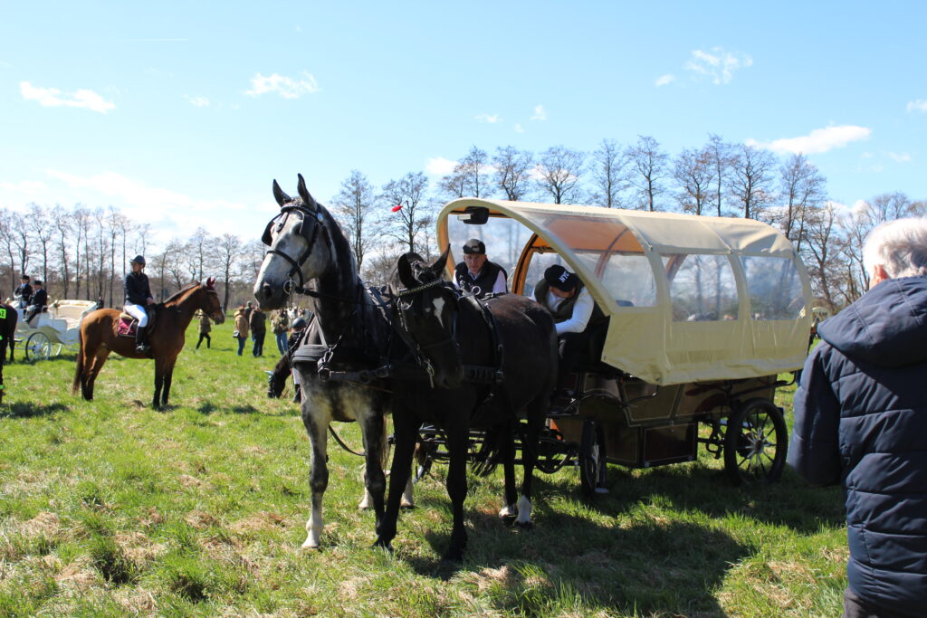 Procesja konna w Pietrowicach Wielkich - 2026 Vlog podróżniczy Steina