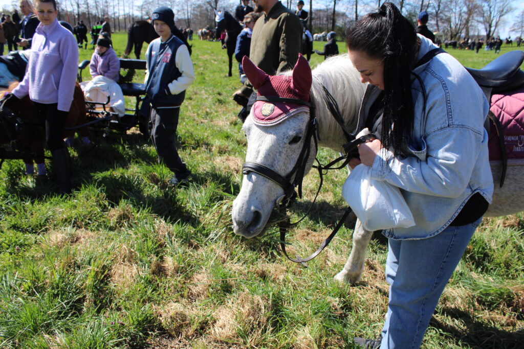 Procesja konna w Pietrowicach Wielkich - 2026 Vlog podróżniczy Steina