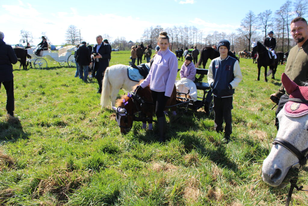 Procesja konna w Pietrowicach Wielkich - 2026 Vlog podróżniczy Steina