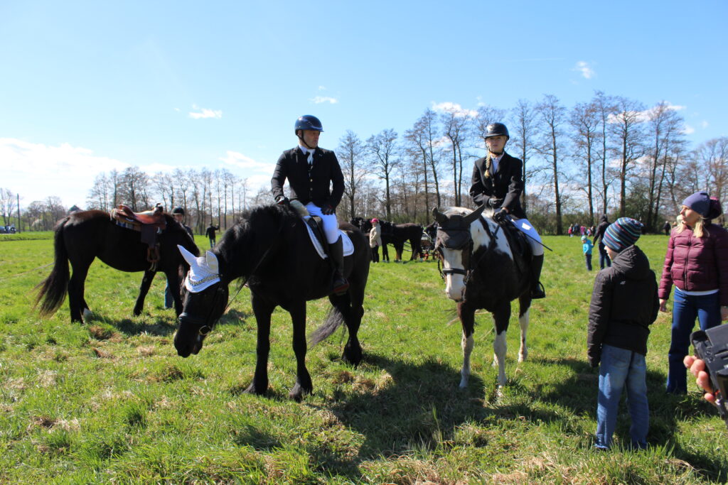 Procesja konna w Pietrowicach Wielkich - 2026 Vlog podróżniczy Steina