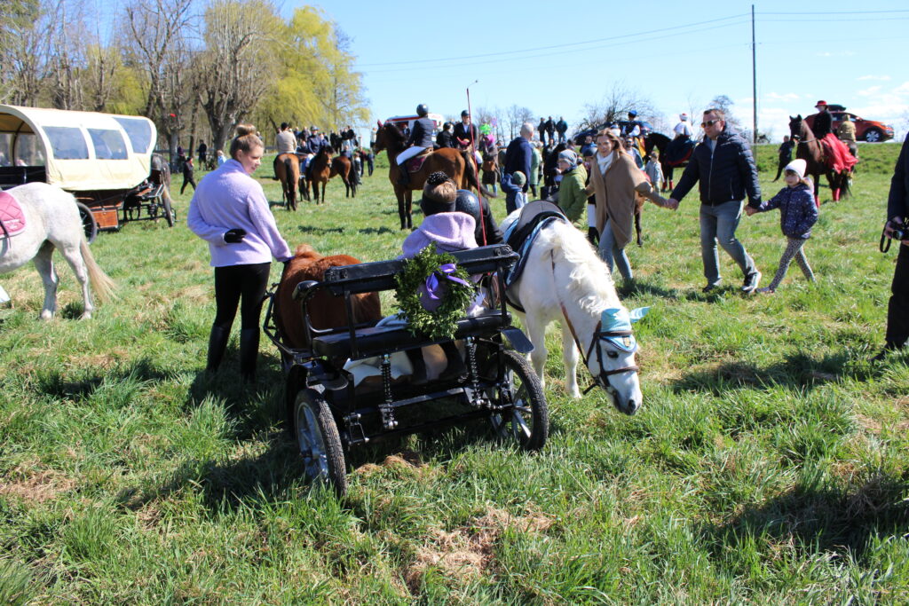 Procesja konna w Pietrowicach Wielkich - 2026 Vlog podróżniczy Steina