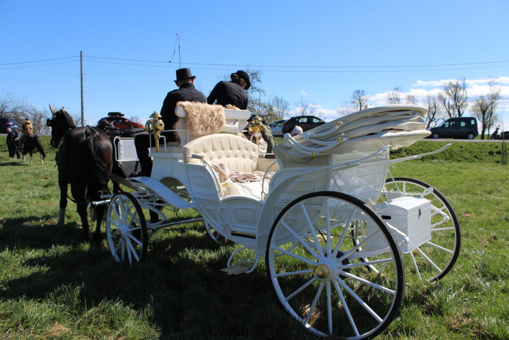 Procesja konna w Pietrowicach Wielkich - 2026 Vlog podróżniczy Steina