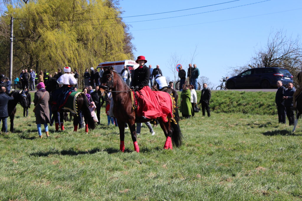 Procesja konna w Pietrowicach Wielkich - 2026 Vlog podróżniczy Steina